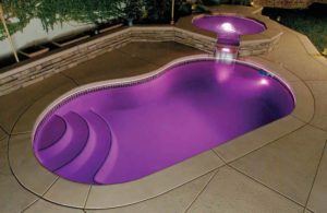 Kidney Shape Swimming Pool